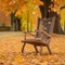 the close shot of the wooden bench beside huge autumn tree with falling leaves with bokeh background