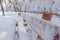 Close side view of wooden bench on snow natural cold day forest