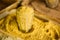 Close Of Turmeric Powder In Glass In Heap Of Bright Yellow Fragrt Market,