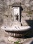 Close-up of 19th century drinking water fountain with carved stone goat head mask and clam shell bowl.