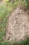 Close-up of an abandoned dirt anthill. The hill has fallen apart. You can see the empty caves and corridors of the deserted hill.