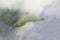 Close up abdomen with legs of  caterpillar of common pasha butterly  Herona marathus  r