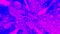 Close up of an abstract beautiful pink and blue flower with water drops. Animation. Rotating flower bud, concept of