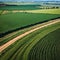 a close-up, abstract detail of tractor track lines over the rolling countryside ...