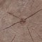 Close up of abstract wooden background texture