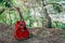 Close-up of acoustic guitar lying on a woodland, vintage style with copy space