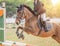 Close up action equestrian rider horse jumping over hurdle obstacle during dressage test competition