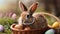 Close up of adorable easter bunny looking at the camera and wicker basket with easter eggs in the middle of nature, beautiful