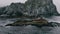 Close up of adorable fur seal rookery, aerial view shoting from above with drone or quadcopter. Stone breakwater