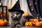 Close-up adorable small kitty wearing a witch hat for Halloween lying among pumpkins. Generative AI
