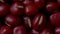 Close-up of Adzuki Beans, Vigna angularis, Pan Shot