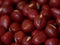 Close-up of Adzuki Beans, Vigna angularis, Selected Focus