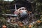 close-up of airplane wreckage with scattered debris