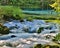 Close up of Alley Spring outflow.