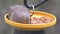 A close up of an American mourning dove eating seeds on the bird feeder