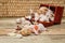 Close up Ancient casket for jewelry with collection of different seashells on wooden table