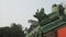 Close up of animal roof tile on the temple of heaven, Beijing