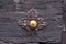 Close up of Antique doorbell in Italy Bergamo city.