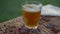 Close-up apple juice pouring in glass outdoors with dried fruits lying on picnic basket. Healthful organic vitamin drink