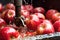 close-up of apples being crushed in a press