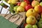 Close-up of apples and paper bags of different colors and varieties