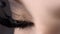 Close-up apply mascara on eyelashes of beautiful female eye. Action. Incredible lash length with super curl effect by