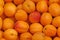 Close up of apricots