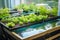 close-up of aquaponics and hydroponics system, with water flowing from the fish tank to the plant bed