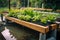 close-up of aquaponics system, with water flowing and plants growing