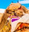 Close up of a Arabian Camels, gathered together in the red desert