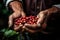 Close-up arabica coffee berries with agriculturist hands
