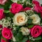 Close up of an arrangement of roses