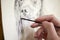 Close Up Of Artist Sitting At Easel Drawing Picture Of Dog In Charcoal
