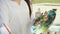 Close up artist woman`s hand with brush painting picture on canvas in the street on the background of the chic sakura.