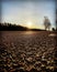 Close-up of an asphalt road at a golden sunset on a cool autumn evening. Blue sky