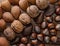 Close up of assortment nuts on a wooden table: wallnuts, almonds