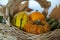 Close up of assortment of pumpkins on basket