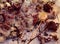 Close up of aster flowers seeds and old paper background on wooden planks