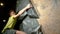 CLOSE UP: Athletic young man grabs a black volume hold while climbing indoors.