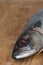 Close up of Atlantic Mackerel on chopping board