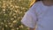 Close up attractive little Caucasian girl with long hair. background field with dandelions in city Park springtime. concept kindne