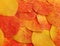 Close-up of autumn leaves put tightly