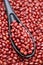 Close up of azuki red beans