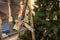 Close up baby feet on ladder near christmas tree-2