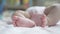 Close up baby infant small feet moving on bed near window. footprint of newborn kid on bed, details of baby feet.