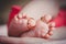 Close up of baby`s feet with wedding rings in mother`s hands. Newborn. Selective focus