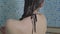 Close-up back view of young slender woman washing under shower. Gorgeous Caucasian girl in swimsuit taking shower