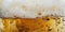 Close up. Background of beer with bubbles in glass.