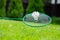 Close up Badminton racket and shuttle on green grass backgroung, copy space