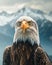 Close up of Bald Eagle With Mountains